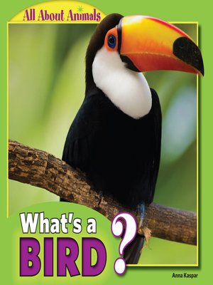 cover image of What's a Bird?